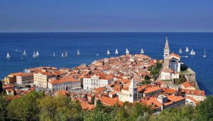 Read more about the article Odlična prilika/Želite li biti volonter u slovenskom gradu Kopru?