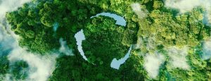Read more about the article Cirkularna ekonomija: U otpadu je sirovina i novac – kako ga koriste bh.građani?